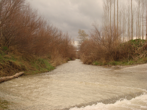 rio de baza