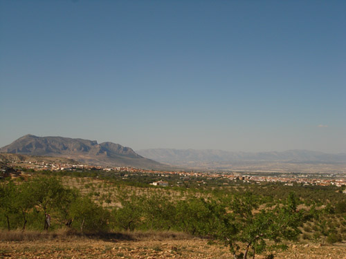 almendral fondo baza y jabalcon